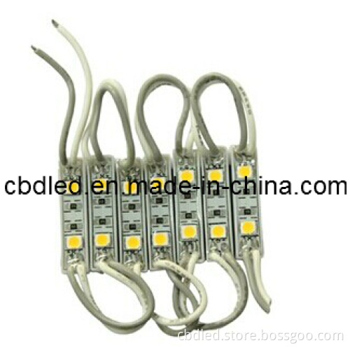 Economical LED Module Light with 2LEDs SMD5050